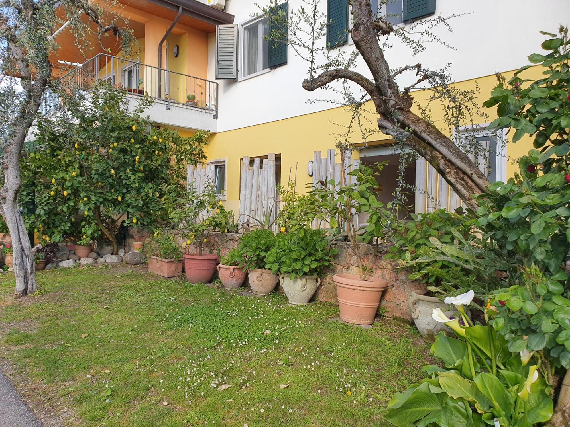 Camping Le Maior Brenzone sul Garda Kültér fotó