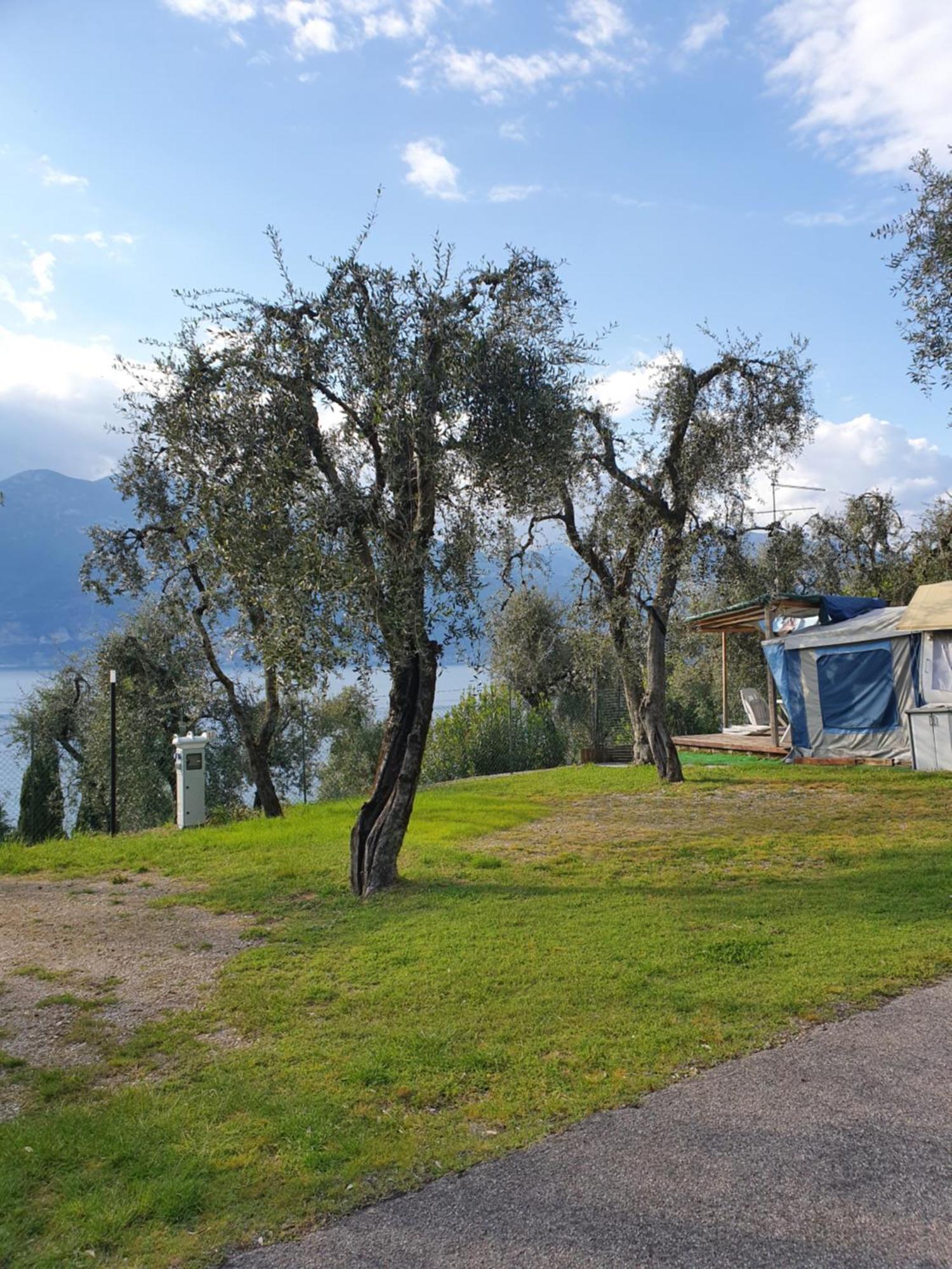 Camping Le Maior Brenzone sul Garda Kültér fotó