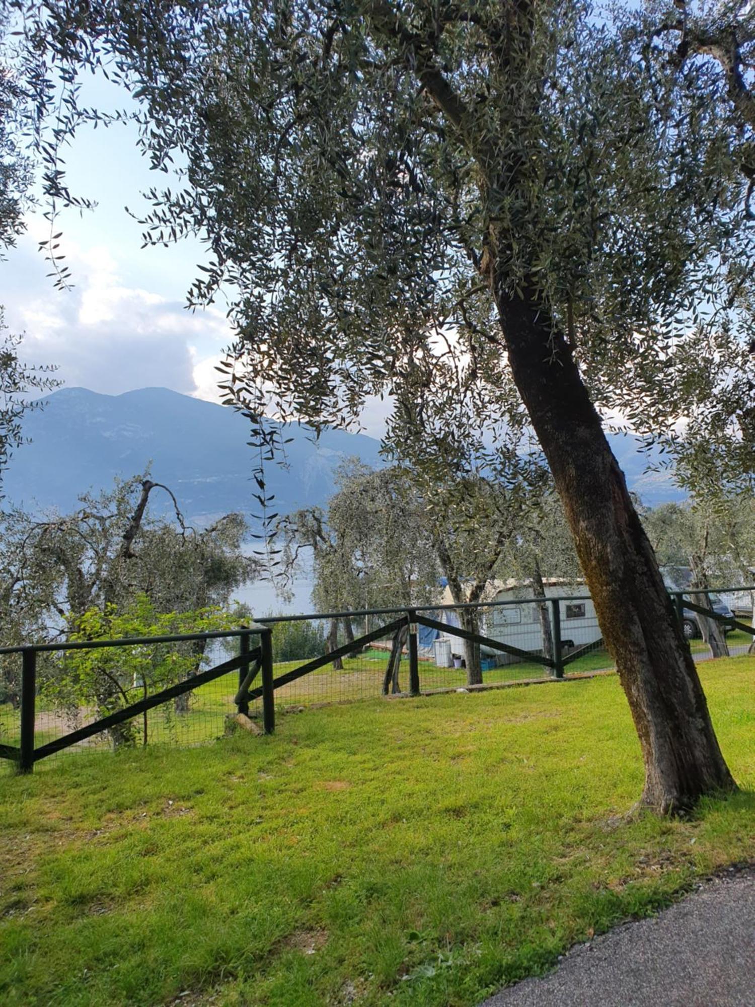 Camping Le Maior Brenzone sul Garda Kültér fotó