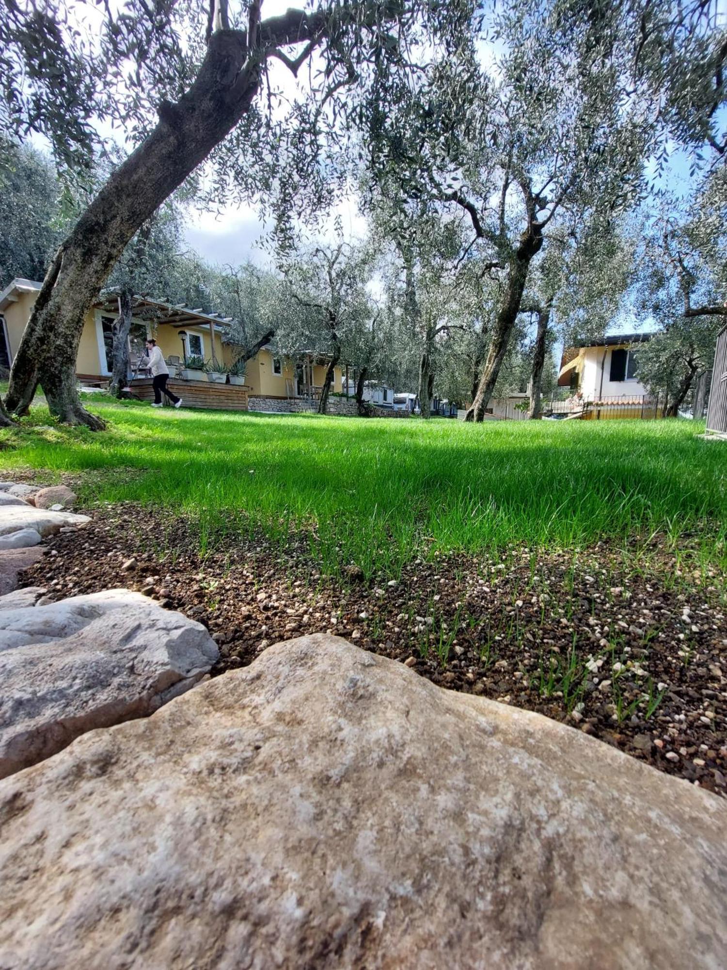 Camping Le Maior Brenzone sul Garda Kültér fotó
