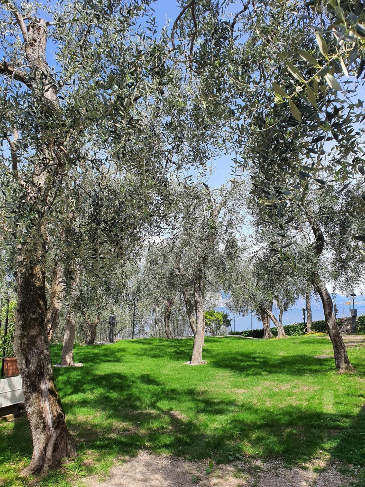 Camping Le Maior Brenzone sul Garda Kültér fotó