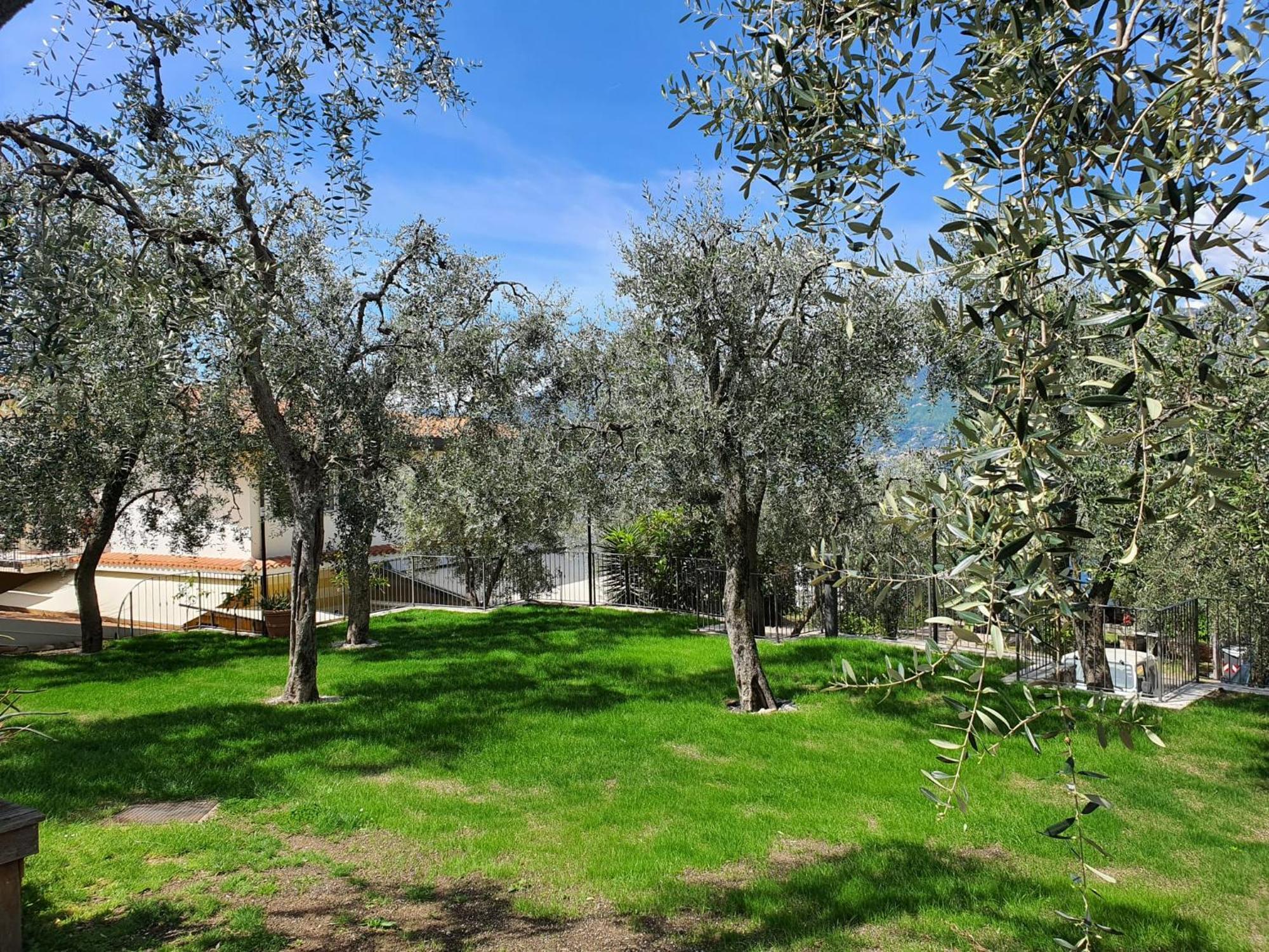 Camping Le Maior Brenzone sul Garda Kültér fotó
